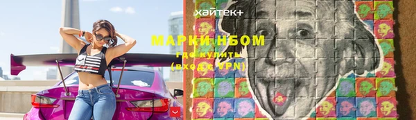 сатива Медногорск