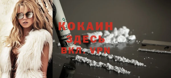 сатива Медногорск
