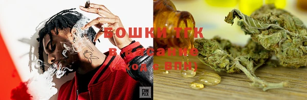 стаф Мегион