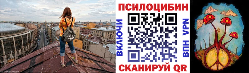 Псилоцибиновые грибы Psilocybine cubensis  Спас-Клепики 